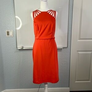 Orange Grace Karin Sheath Dress Large